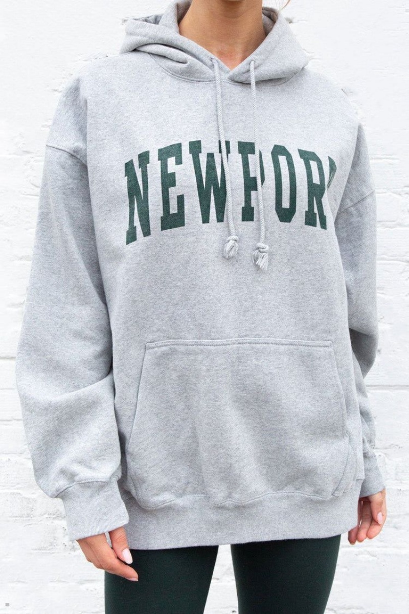 Sweat a Capuche Brandy Melville Christy Newport Grise | VPM-57947417